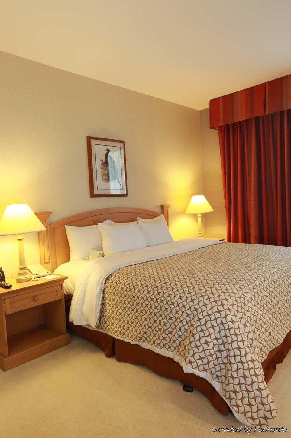 Doubletree By Hilton Mcallen Rom bilde
